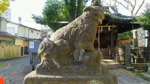 南品川諏訪神社の狛犬