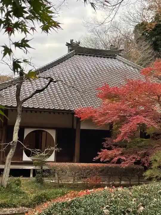 明月院(神奈川県)