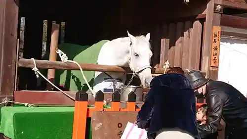 賀茂別雷神社（上賀茂神社）(京都府)