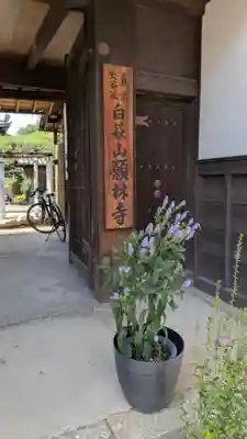 願林寺(滋賀県)