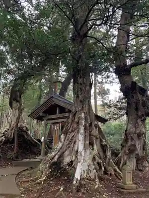 金刀比羅神社(千葉県)