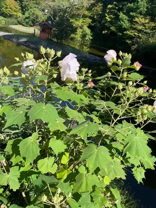 浄瑠璃寺(京都府)