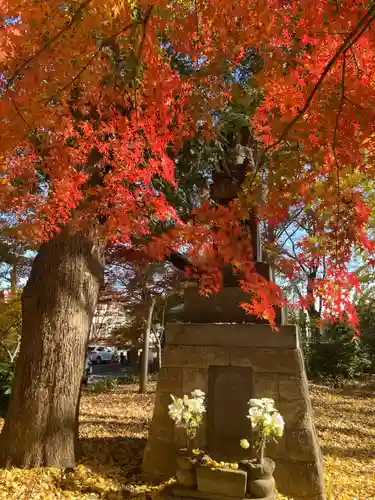 淨眞寺(東京都)