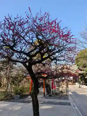 布多天神社(東京都)