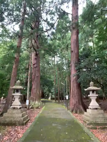 若狭彦神社（上社）の建物その他