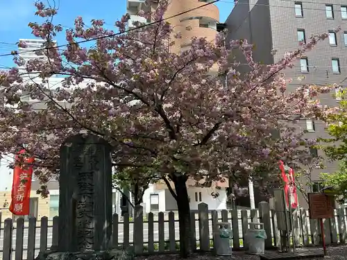 北海道神宮頓宮の自然