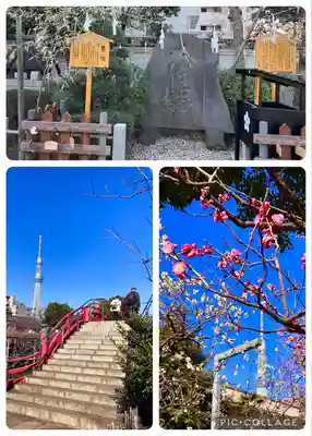 亀戸天神社(東京都)