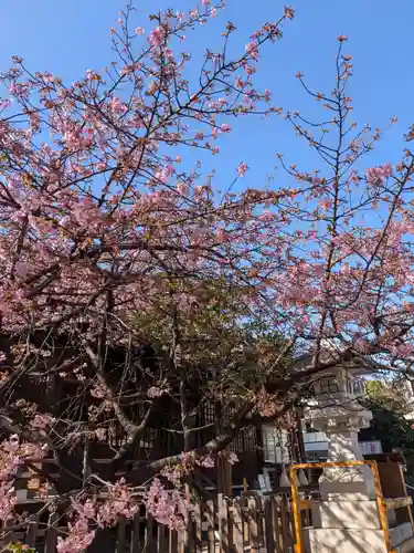 新宿下落合氷川神社(東京都)