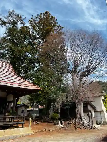 中牧神社の自然