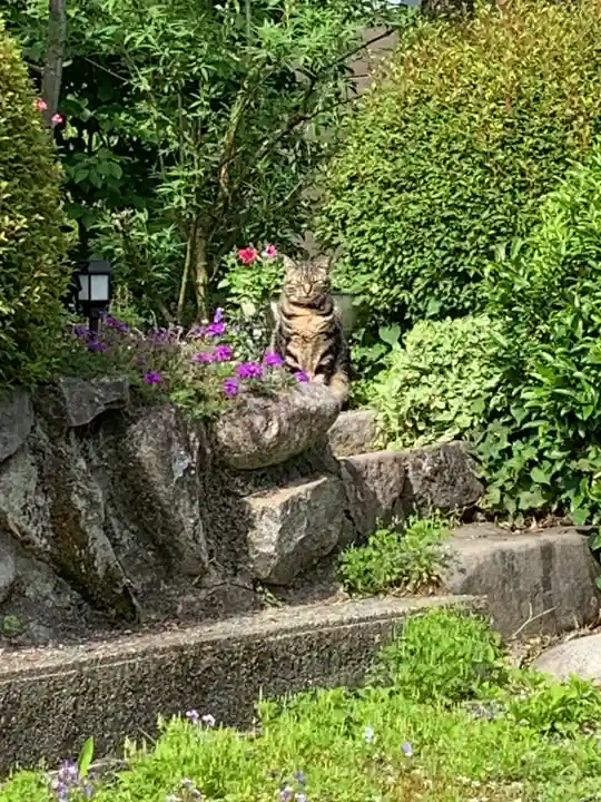 常鑑寺(群馬県)