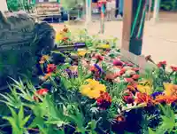 滑川神社 - 仕事と子どもの守り神の手水舎