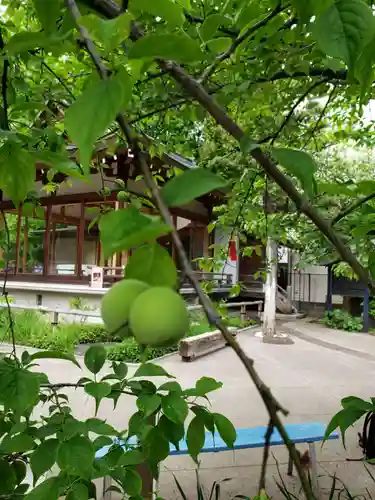 鳩森八幡神社(東京都)