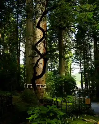 御岩神社(茨城県)