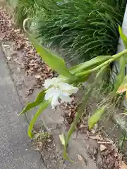 地蔵寺の自然