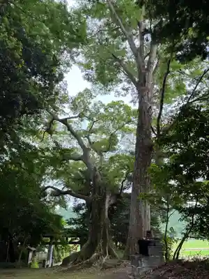 高房神社(茨城県)
