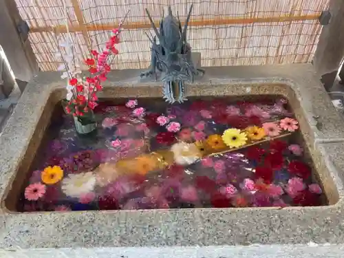 札幌諏訪神社の手水舎