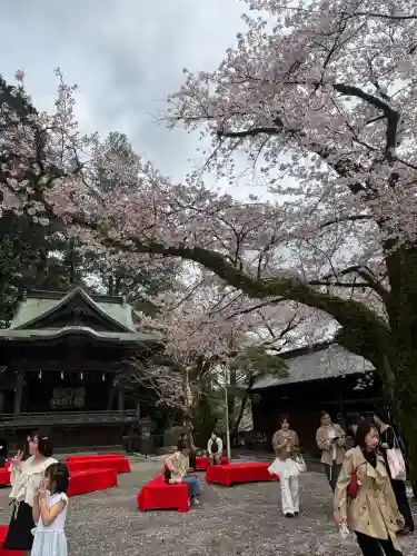 宇都宮二荒山神社の{uncategorized: "未分類", other: "その他", undefined: "問題あり", building: "その他建物", grave: "お墓", sacred_gate: "鳥居", guardian: "狛犬", statue: "像", buddha: "仏像", history: "歴史", nature: "自然", garden: "庭園", animal: "動物", pagoda: "塔", temizu: "手水舎", mountain_gate: "山門・神門", sanctuary: "本殿・本堂", subordinate: "末社・摂社", art: "芸術", scenery: "景色", jizo: "地蔵", ema: "絵馬", goshuin: "御朱印", omikuji: "おみくじ", items: "授与品その他", amulet: "お守り", goshuincho: "御朱印帳", eats: "食事", festival: "お祭り", votive_dance: "神楽", shichigosan: "七五三参", wedding: "結婚式", experience: "体験その他", initially: "初詣", around: "周辺", anti_infection: "感染症対策"}