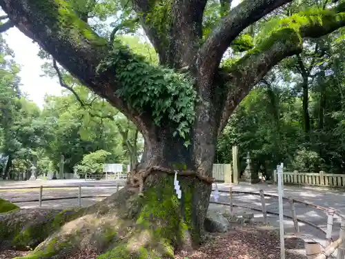伊曽乃神社(愛媛県)