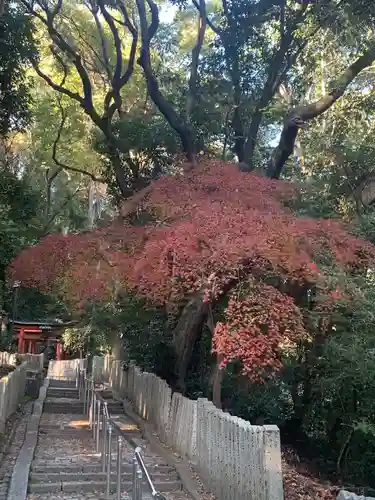 美具久留御魂神社(大阪府)