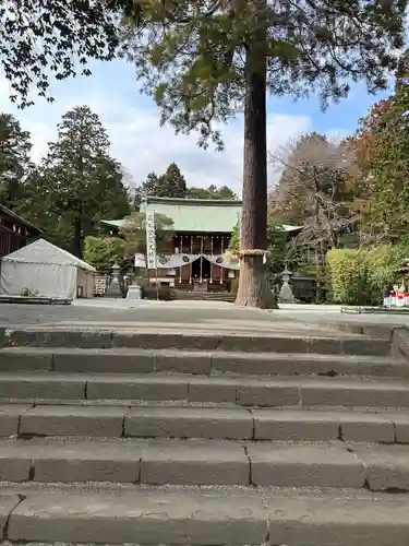 比々多神社の本殿・本堂