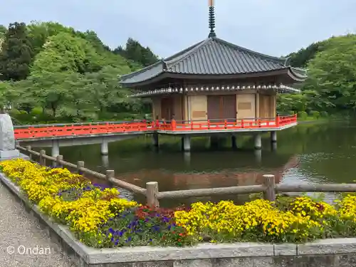 安倍文殊院 (奈良県)