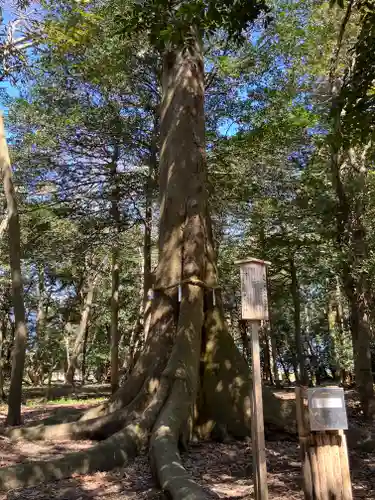 豊満神社(滋賀県)