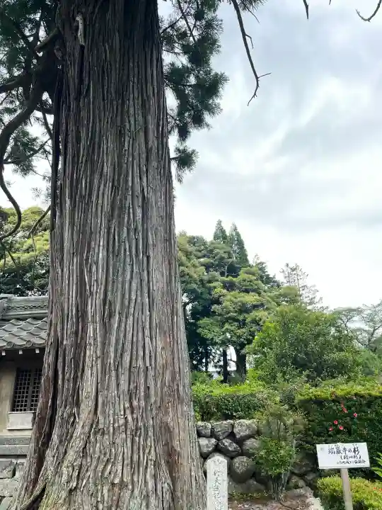瑞巌寺(岐阜県)