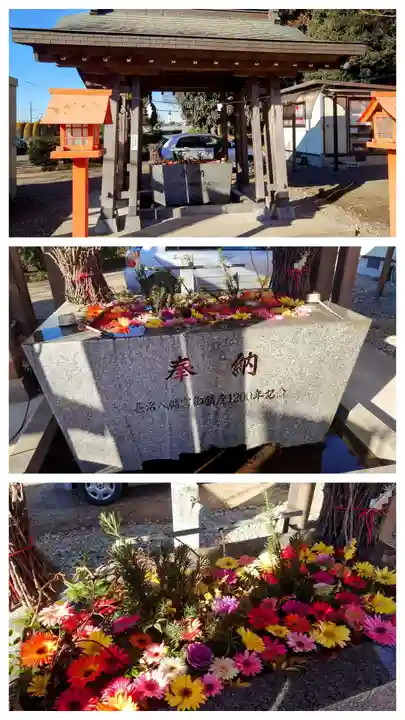 長沼八幡宮(栃木県)