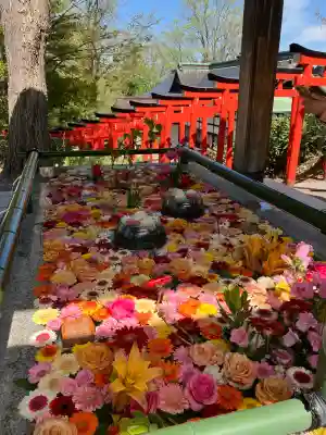 住吉神社の{uncategorized: "未分類", other: "その他", undefined: "問題あり", building: "その他建物", grave: "お墓", sacred_gate: "鳥居", guardian: "狛犬", statue: "像", buddha: "仏像", history: "歴史", nature: "自然", garden: "庭園", animal: "動物", pagoda: "塔", temizu: "手水舎", mountain_gate: "山門・神門", sanctuary: "本殿・本堂", subordinate: "末社・摂社", art: "芸術", scenery: "景色", jizo: "地蔵", ema: "絵馬", goshuin: "御朱印", omikuji: "おみくじ", items: "授与品その他", amulet: "お守り", goshuincho: "御朱印帳", eats: "食事", festival: "お祭り", votive_dance: "神楽", shichigosan: "七五三参", wedding: "結婚式", experience: "体験その他", initially: "初詣", around: "周辺", anti_infection: "感染症対策"}
