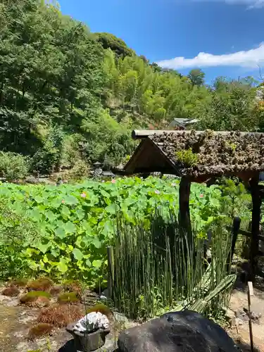 常昌院の景色