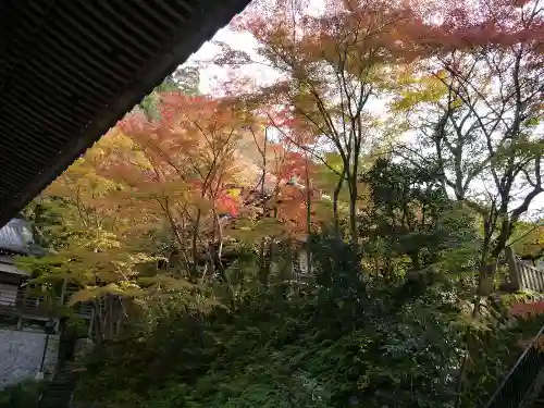 禅林寺（永観堂）の庭園