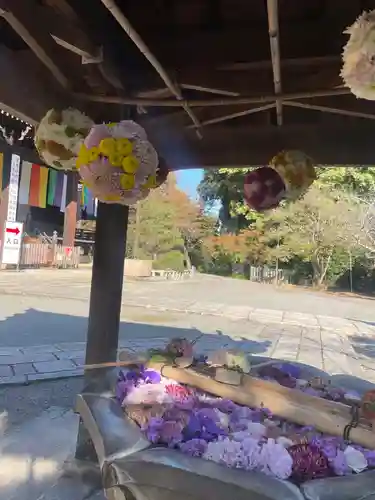 光明寺（粟生光明寺）(京都府)