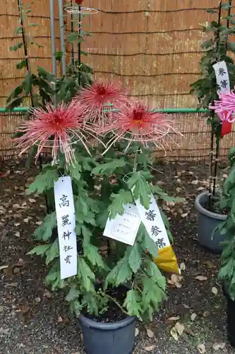高麗神社のその他建物
