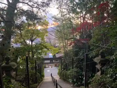 座間神社の鳥居