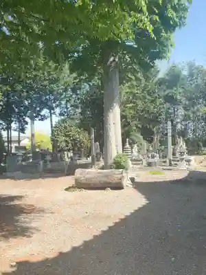 清岩寺(群馬県)