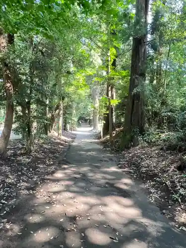 縣神社(千葉県)