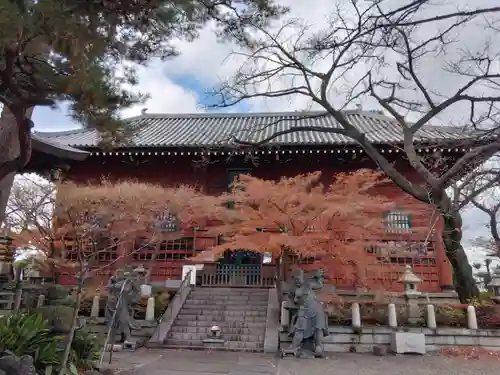 養玉院如来寺(東京都)