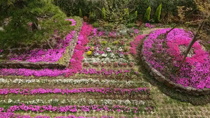 寿量山 速成寺の自然