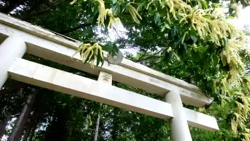 忠栄金刀比羅神社の鳥居