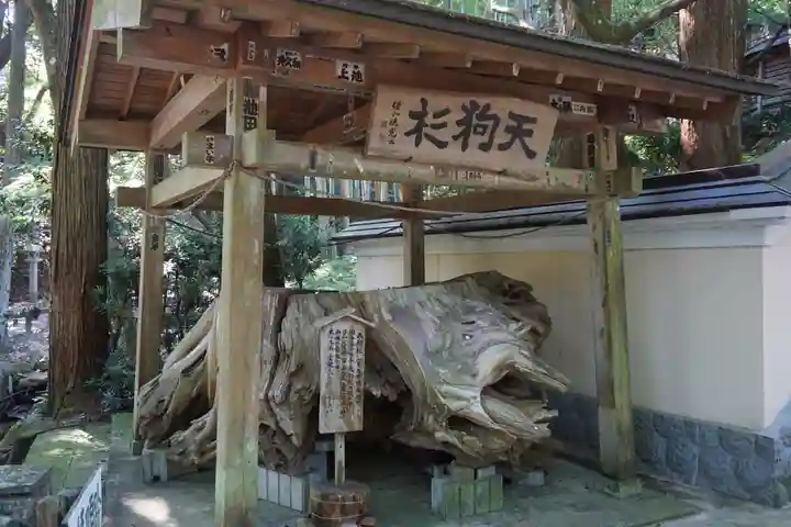 目の霊山 油山寺の自然