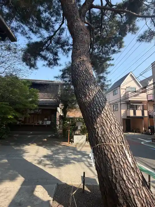 猿田彦神社の{uncategorized: "未分類", other: "その他", undefined: "問題あり", building: "その他建物", grave: "お墓", sacred_gate: "鳥居", guardian: "狛犬", statue: "像", buddha: "仏像", history: "歴史", nature: "自然", garden: "庭園", animal: "動物", pagoda: "塔", temizu: "手水舎", mountain_gate: "山門・神門", sanctuary: "本殿・本堂", subordinate: "末社・摂社", art: "芸術", scenery: "景色", jizo: "地蔵", ema: "絵馬", goshuin: "御朱印", omikuji: "おみくじ", items: "授与品その他", amulet: "お守り", goshuincho: "御朱印帳", eats: "食事", festival: "お祭り", votive_dance: "神楽", shichigosan: "七五三参", wedding: "結婚式", experience: "体験その他", initially: "初詣", around: "周辺", anti_infection: "感染症対策"}