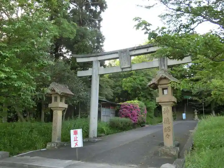 平濱八幡宮の鳥居