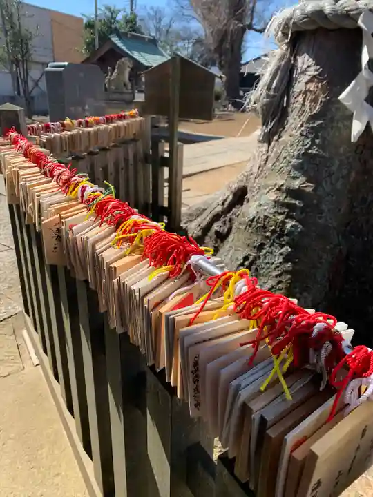 守谷総鎮守 八坂神社(茨城県)