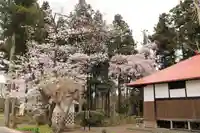 甚日寺のその他建物