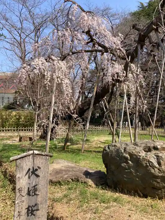 弘法寺(千葉県)