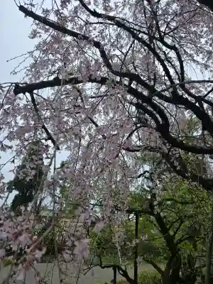 北野天満宮の{uncategorized: "未分類", other: "その他", undefined: "問題あり", building: "その他建物", grave: "お墓", sacred_gate: "鳥居", guardian: "狛犬", statue: "像", buddha: "仏像", history: "歴史", nature: "自然", garden: "庭園", animal: "動物", pagoda: "塔", temizu: "手水舎", mountain_gate: "山門・神門", sanctuary: "本殿・本堂", subordinate: "末社・摂社", art: "芸術", scenery: "景色", jizo: "地蔵", ema: "絵馬", goshuin: "御朱印", omikuji: "おみくじ", items: "授与品その他", amulet: "お守り", goshuincho: "御朱印帳", eats: "食事", festival: "お祭り", votive_dance: "神楽", shichigosan: "七五三参", wedding: "結婚式", experience: "体験その他", initially: "初詣", around: "周辺", anti_infection: "感染症対策"}