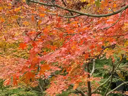 武雄神社の景色