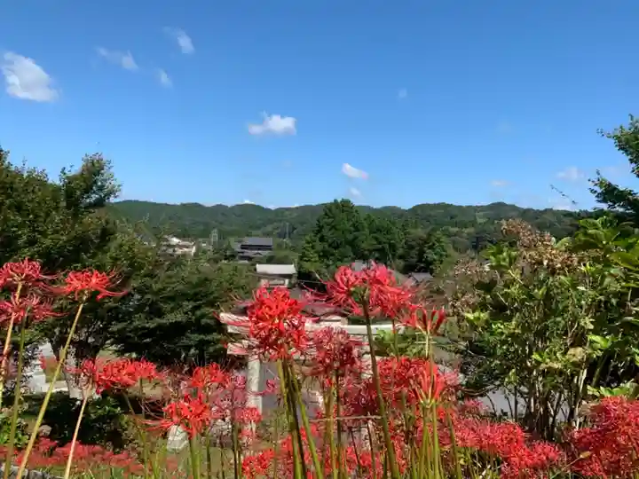 八幡神社の自然