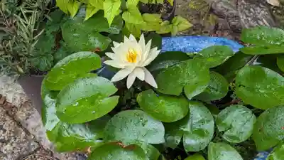 勝林寺(京都府)