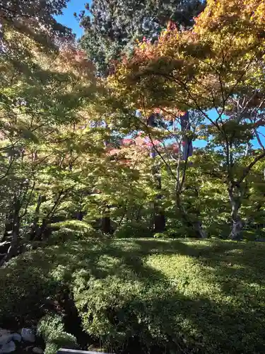 円通院(宮城県)